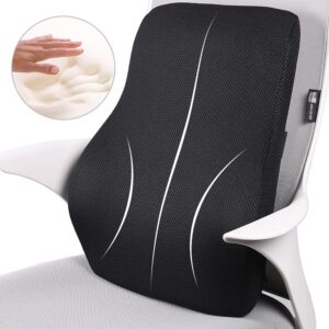 Memory Foam Lumbar Support Back Cushion Ergonomic Lumbar Pillow Relieves Sciatica Pain 3D Ventilative Mesh Lumbar Support